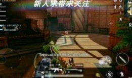 最新忍者返厂爆料,忍者返厂，神秘新技能引期待